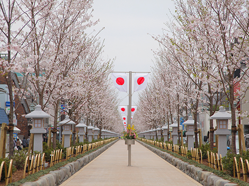 若宮大路