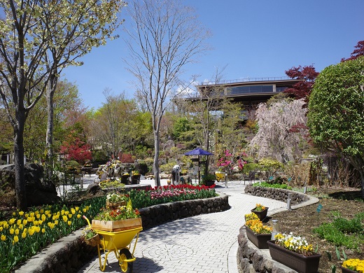 ハーブ庭園旅日記 富士河口湖庭園