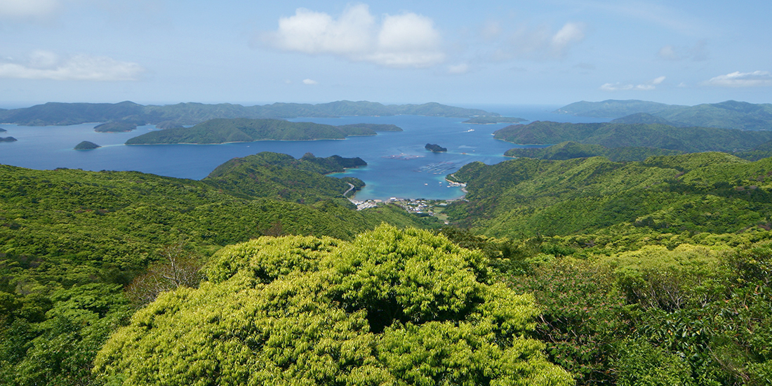 唯一無二の奄美大島おすすめ観光スポットをご紹介！マングローブや海岸の大自然を堪能しよう