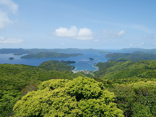 奄美大島