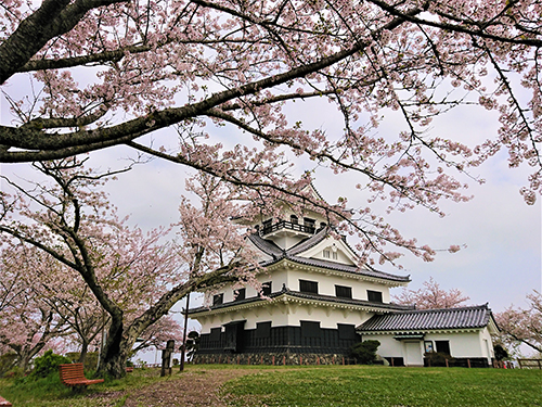 城山公園