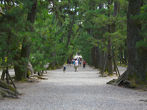 松の参道（松の馬場）