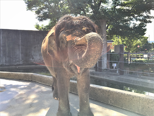 福山市立動物園