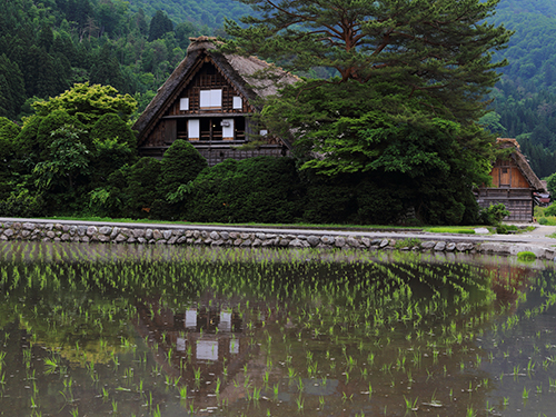 和田家住宅