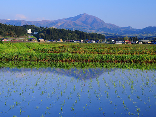 泉ケ岳