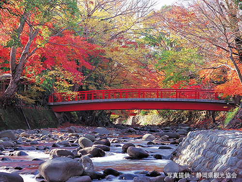 桂橋