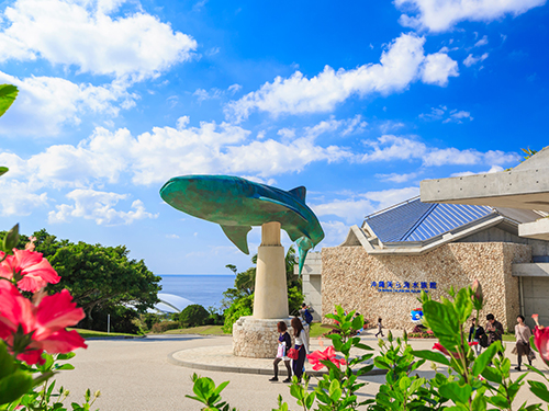 沖縄美ら海水族館