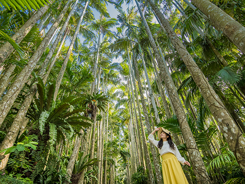 東南植物楽園