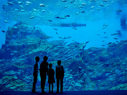 仙台うみの杜水族館