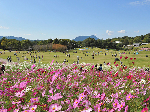 国営讃岐まんのう公園