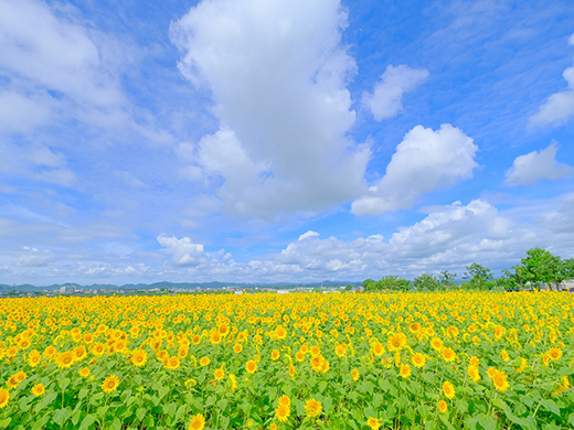 夏休みにおすすめ！家族旅行で一度は行ってみたいスポット！