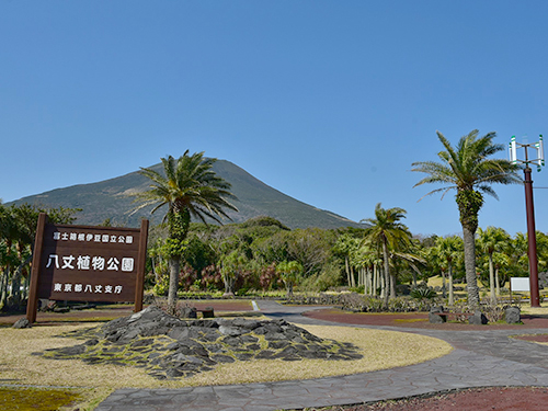 八丈植物公園／八丈ビジターセンター