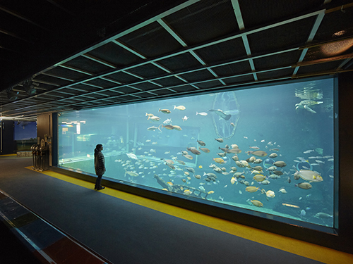 箱根園水族館