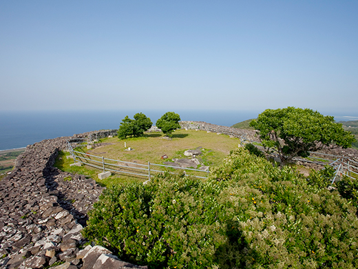 写真提供：沖縄観光コンベンションビューロー