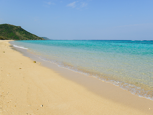 新城海岸