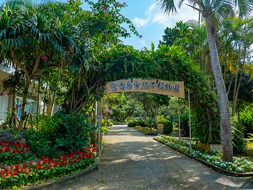 宮古島市熱帯植物園