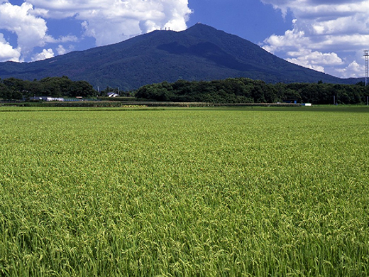 筑波山