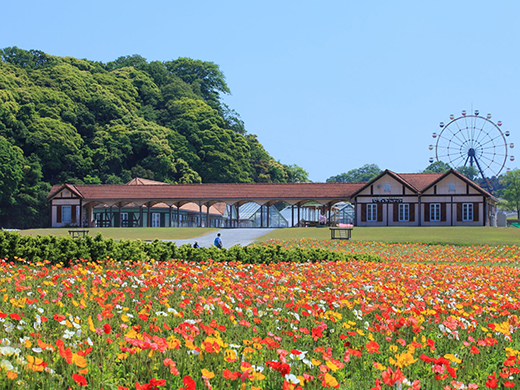 東京ドイツ村