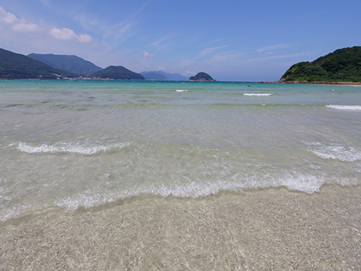 蛤浜海水浴場