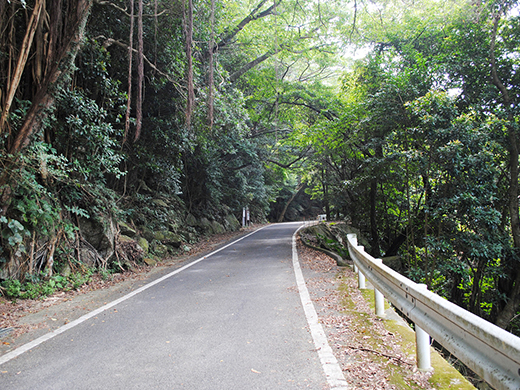 西部林道