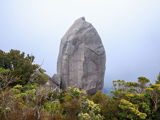 太忠岳