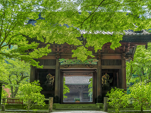 妙本寺（日蓮宗 霊跡本山 比企谷 妙本寺）