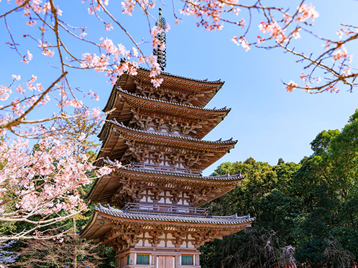 醍醐寺