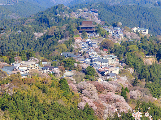 吉野山