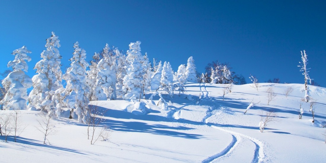 1月3連休におすすめの宿