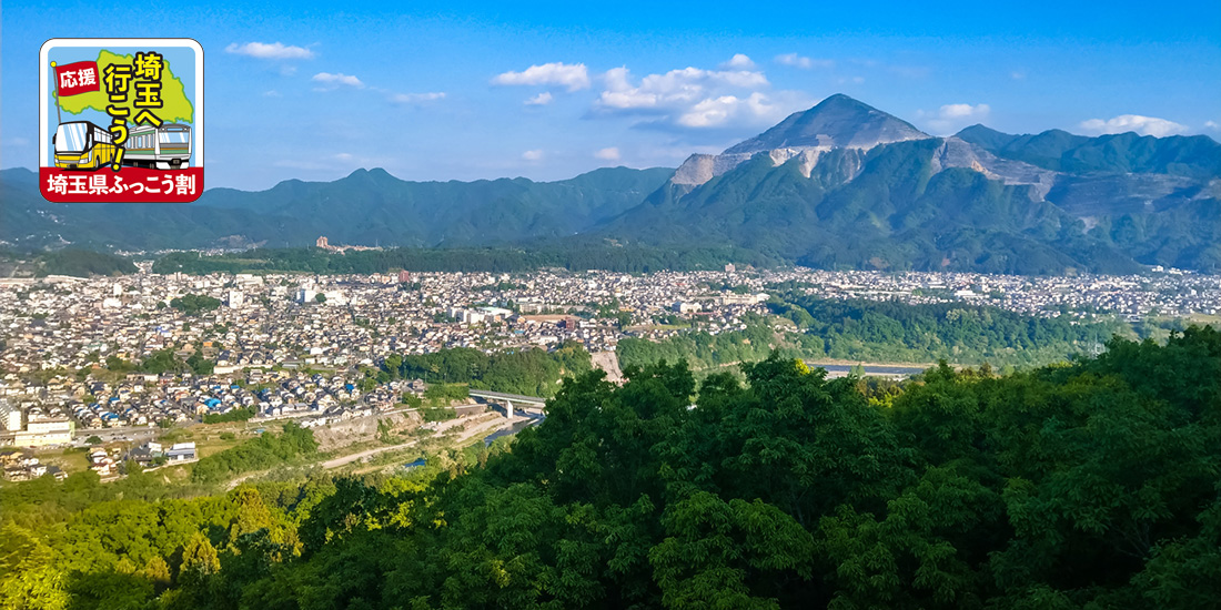 令和元年
埼玉県ふっこう割