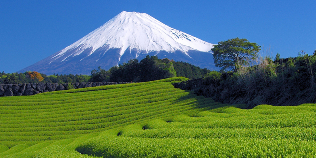 今こそ しずおか 元気旅