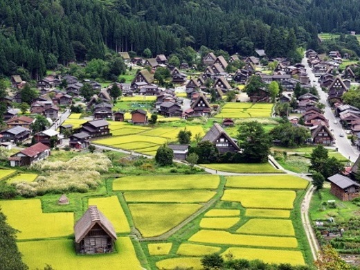 写真提供：岐阜県白川村役場