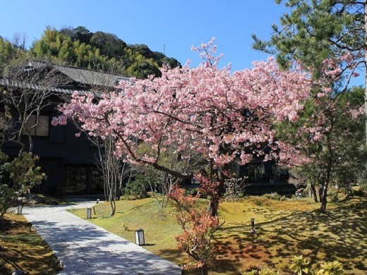 玉峰館