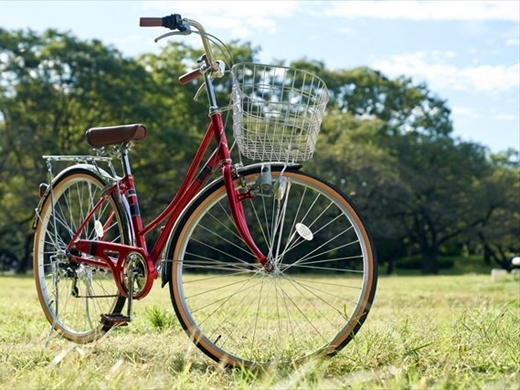 園内サイクリングを楽しむ