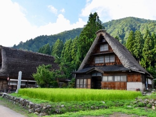 富山特集