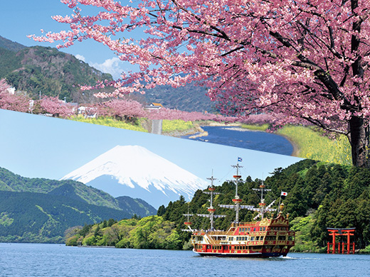 伊豆・箱根・駿河路・浜名湖キャンペーン