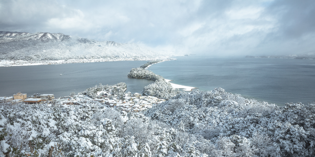 GOGO！
天橋立・丹後キャンペーン