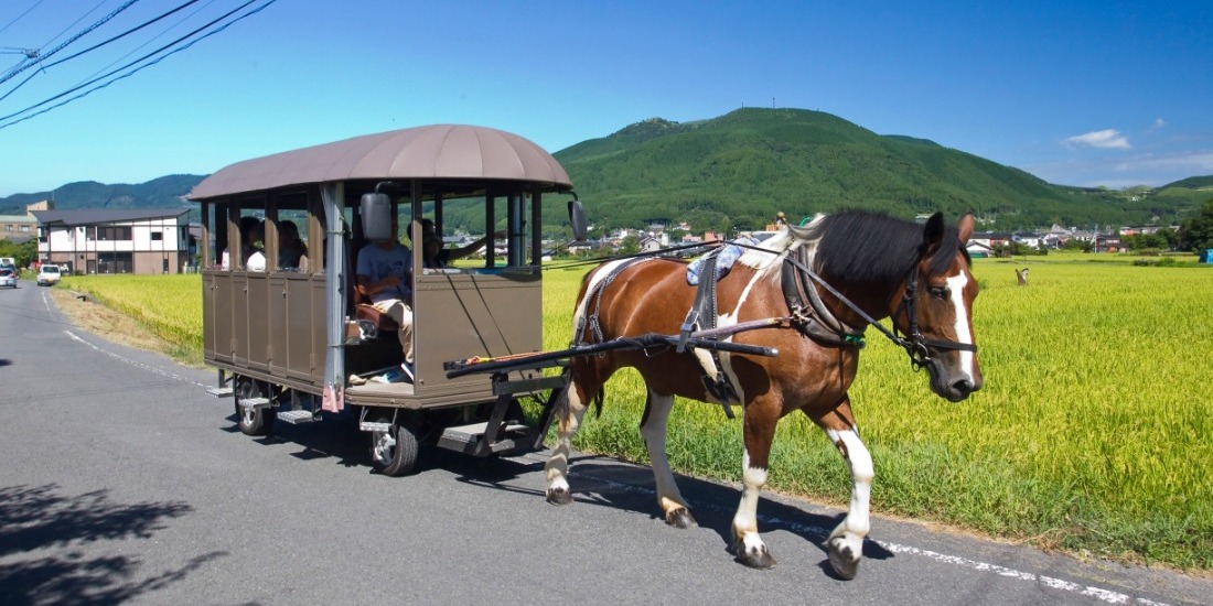 美しい由布岳の山麓に広がる
湯布院へ！