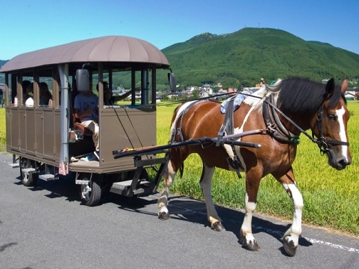 美しい由布岳の山麓に広がる
湯布院へ！