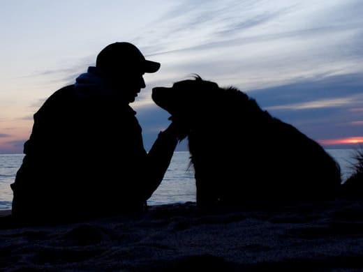 犬嫌いの人たちが、飼い主たちにいいたいこと