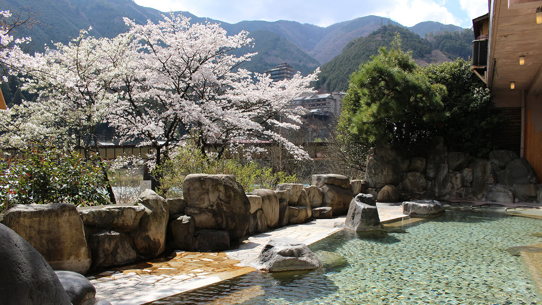 桜が見られる温泉宿を発見！