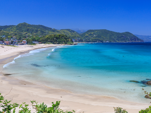【夏休み！】静岡キャンペーン