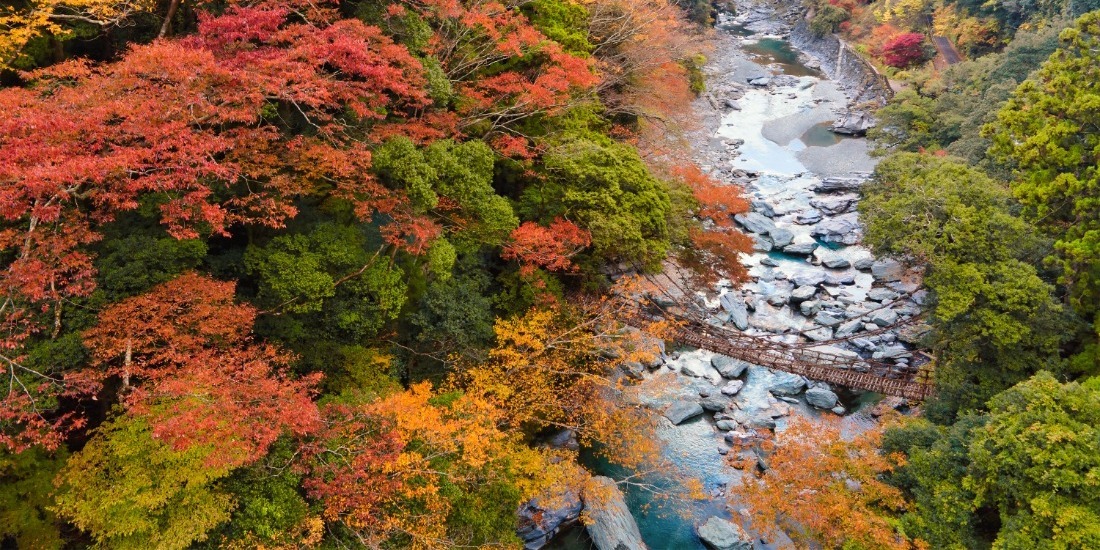 徳島県を楽しもうキャンペーン