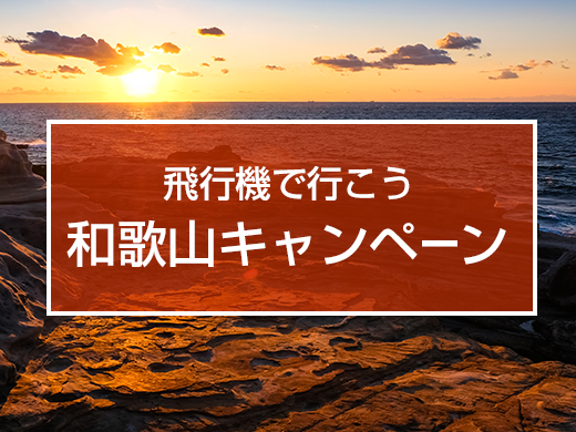 飛行機で行こう　和歌山キャンペーン