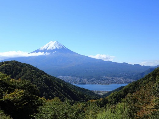 山梨特集