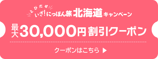 いざ！にっぽん旅 北海道キャンペーンクーポン（最大30,000円割引）