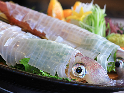 イカの活き造り