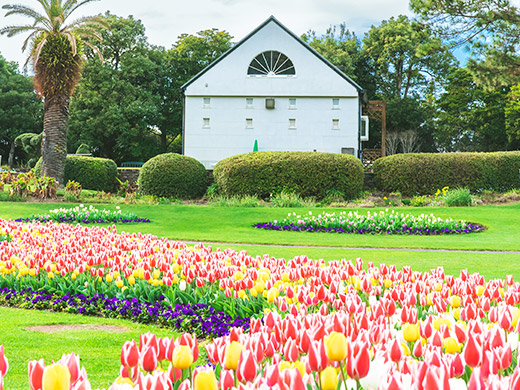 フローランテ宮崎（宮崎市）