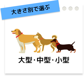 大きさ別で選ぶ 大型・中型・小型