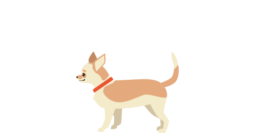 小型犬のイメージ